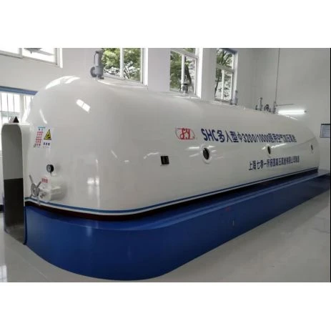 Round Bottom Multiplace Air Compression Chamber price